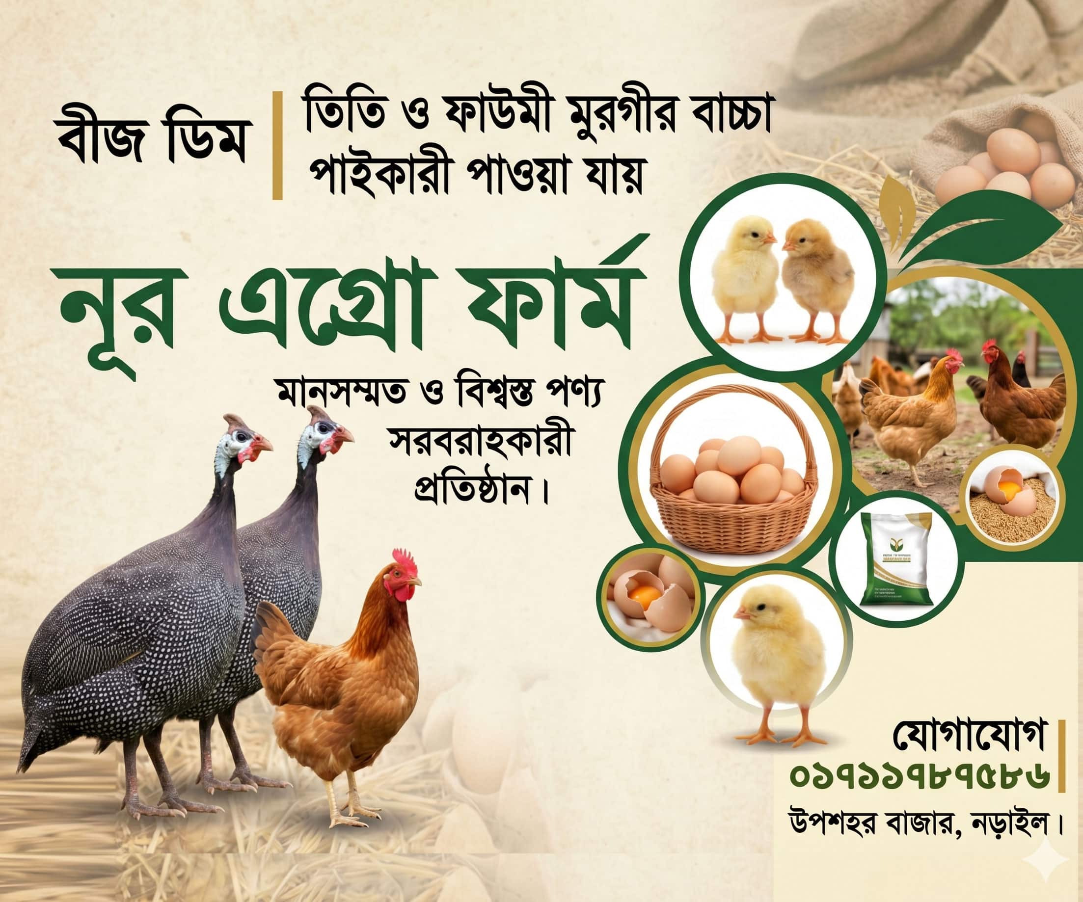 Advertisement