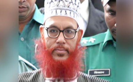 কোথায় দাফন করা হচ্ছে আল্লামা দেলোয়ার হোসেন সাঈদীকে