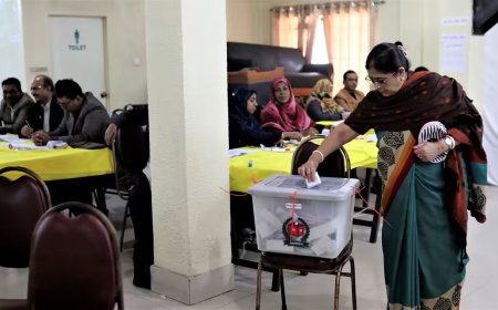 পর্যবেক্ষক বিতর্কে দেশের নির্বাচনের বৈধতা নিয়ে সংশয় জাপানি গণমাধ্যমের