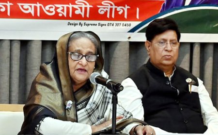 নৌকায় ভোট চাইলেন প্রধানমন্ত্রী  প্রবাসীদের কাছে ।