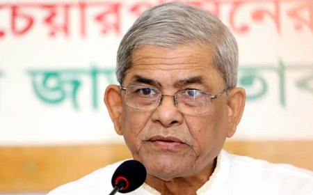 সরকার তাদেরকেই রক্ষা করতে পারবে না : ফখরুল