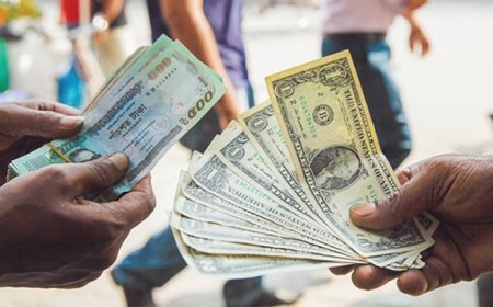 কার্ব মার্কেটে ডলারের দামে নতুন রেকর্ড