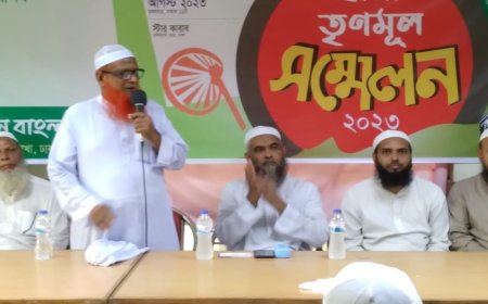 লাইফ সাপোর্ট দিয়েও সরকারকে রক্ষা করা সম্ভব নয় : ইসলামী আন্দোলন