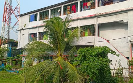 বাগেরহাটে গ্রামীন ফোনের টাওয়ার থেকে পড়ে ট্যকনিশিয়ানের  মৃত্যু