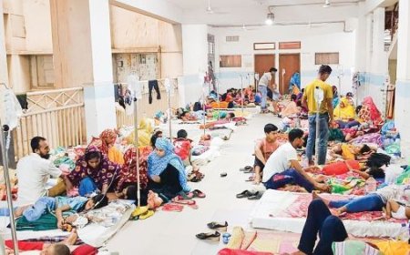 ডেঙ্গুতে ১৭ জনের মৃত্যু, হাসপাতালে ভর্তি ২৩০৮