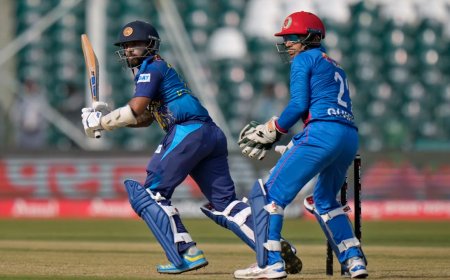 মেন্ডিসের ফিফটিতে বড় সংগ্রহের পথে শ্রীলঙ্কা ।