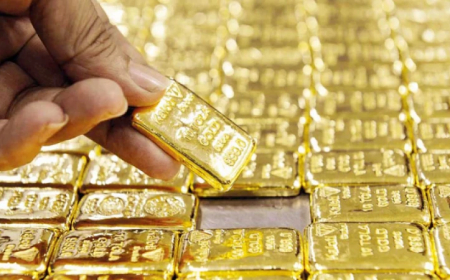 ৫৫ কেজি স্বর্ণ চুরির ঘটনায় চার কর্মকর্তা বরখাস্ত !