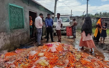 বাগেরহাটে ক্ষতিকর রং ও মেয়াদ উত্তীর্ণ তারিখ ছাড়া আইসক্রিম তৈরির  অপরাধে ৫০ হাজার টাকা জরিমানা 