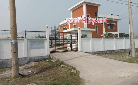 দালাল চক্রের মাধ্যমে চলছে কুয়াকাটা পল্লী বিদ্যুৎ অতিষ্ঠ গ্রাহক