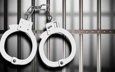 নাশকতার মামলায় যুবদলের সাধারণ সম্পাদক গ্রেপ্তার