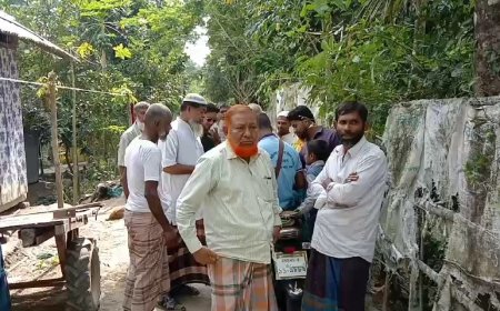 বরগুনায় কুকুর আতঙ্কে স্কুলে যেতে পারছে না শিশুরা