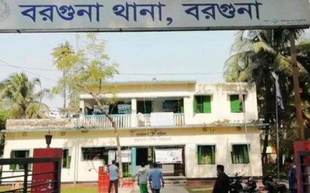 বরগুনায় টাফি চাপায় চালক নিহত