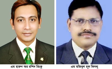 বরগুনা প্রেসক্লাবের কমিটি গঠন; অ্যাড. কিসলু সভাপতি, রিংকু সাধারণ সম্পাদক