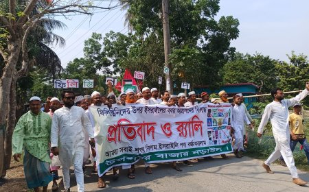 ফিলিস্তিনের ওপর ইসরায়েলের গণহত্যার বিরুদ্ধে নড়াইলে র‍্যালি ও প্রতিবাদ সভা অনুষ্ঠিত