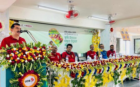 বরগুনায় কৃষকদের দক্ষতা উন্নয়নে ইউসিবির প্রশিক্ষণ