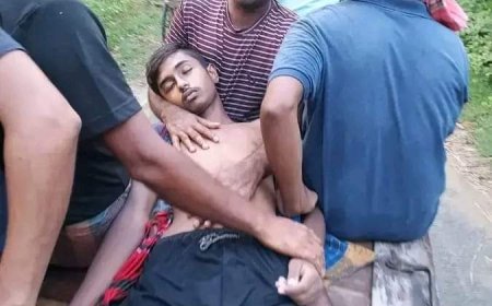 নড়াইল লোহাগড়ায় বজ্রপাতে স্কুলছাত্র'র মৃত্যু