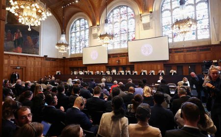 ভয়াবহ পর্যায়ে পৌঁছেছে ফিলিস্তিনের গাজায় জাতিগত নিধন