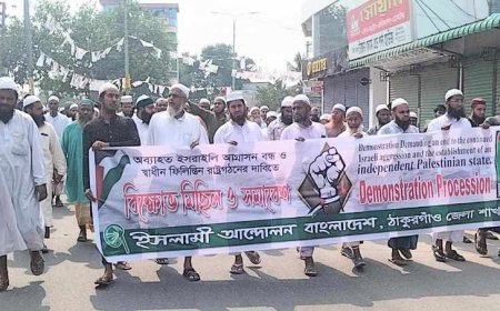স্বাধীন ফিলিস্তিনের দাবিতে সারাদেশে ইসলামী আন্দোলনের শান্তিপূর্ণ বিক্ষোভ