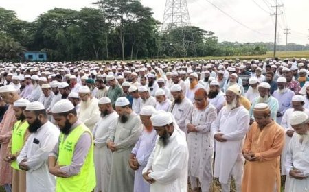 ইসলামী আন্দোলনের কেন্দ্রীয় সাংগঠনিক সম্পাদক অধ্যাপক সৈয়দ বেলায়েত হোসেনের দাফন সম্পন্ন