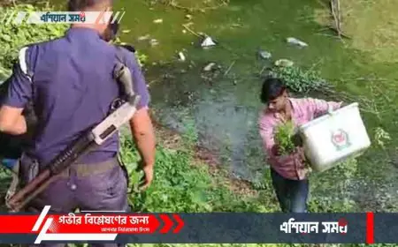 আখাউড়ায় উপজেলা পরিষদ নির্বাচনে ব্যালট বক্স ছিনতাই, পরে পুকুর থেকে উদ্ধার