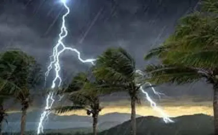 মায়ের সঙ্গে  ধান কাটা মেশিনে দেখতে  গিয়ে  বজ্রপাতে ছেলের মৃত্যু !