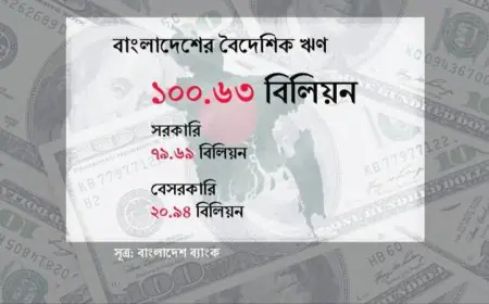 বৈদেশিক ঋণের উচ্চমাত্রায় বাংলাদেশ: সাত বছরে দ্বিগুণ বৃদ্ধি