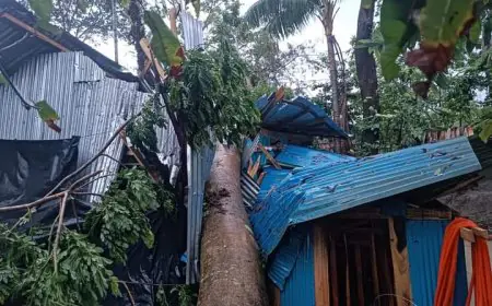 ঘূর্ণিঝড় রেমালের আঘাতে বরগুনায় বিপর্যয়: ঘরবাড়ি বিধ্বস্ত, জনজীবনে দুর্ভোগ