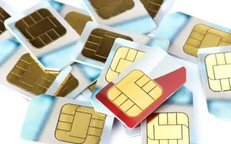 কত দিন বন্ধ রাখলে বদলে যাবে মোবাইল সিমের মালিকানা?