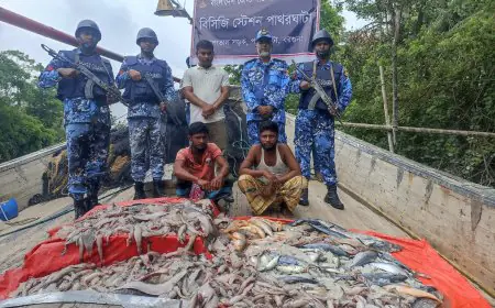 বরগুনার পাথরঘাটায় বিভিন্ন প্রজাতির সামুদ্রিক মাছ সহ আটক ১৩ জেলে