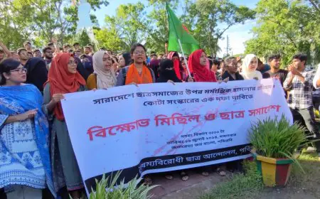 কোটা সংস্কার আন্দোলনে পবিপ্রবি শিক্ষার্থীদের বিক্ষোভ মিছিল