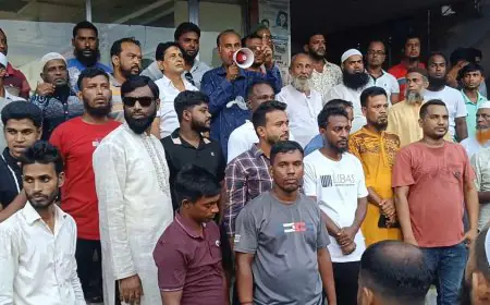 লতাচাপরি ইউনিয়ন বিএনপি'র শান্তি সমাবেশ অনুষ্ঠিত হয়েছে