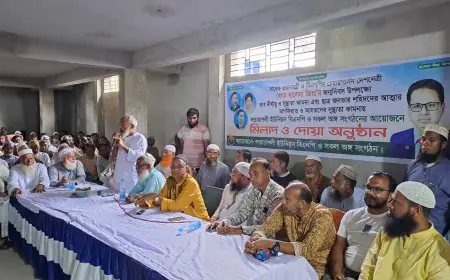 লতাচাপলী ইউনিয়ন বিএনপির উদ্যোগে দোয়া মাহফিল অনুষ্ঠিত