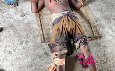 কয়রায় বিএনপি নেতা বাবুলের বিরুদ্ধে চাঁদা দাবি ব্যবসা প্রতিষ্ঠানে হামলা ও লুটপাটের অভিযোগ