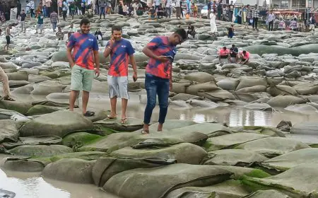 কুয়াকাটা পর্যটনকেন্দ্র বিপুল সম্ভাবনা থাকা সত্বেও সৈকতে  নানা অব্যস্থাপনা