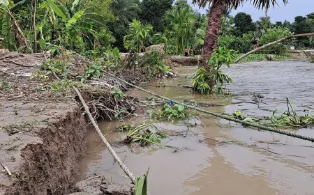 নড়াইলে ভাঙছে নবগঙ্গা নদী, আতংকে এলাকাবাসী