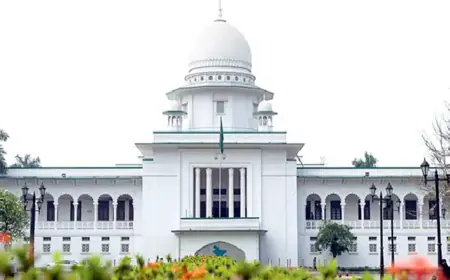 ২৮৬ দিন বিলম্ব মার্জনা, আপিল পুনরুজ্জীবিত জামায়াতের নিবন্ধন