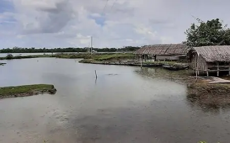 কয়রা উপজেলা যুবদলের সভাপতির বিরুদ্ধে ঘের দখলের অভিযোগে মামলা