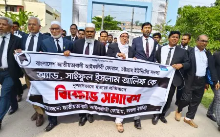 আলিফের হত্যার প্রতিবাদে বরগুনায় আইনজীবীদের বিক্ষোভ