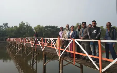 শাকবাড়িয়া খালে কাঠের সেতু নির্মাণ, ভোগান্তির অবসান এলাকাবাসী 