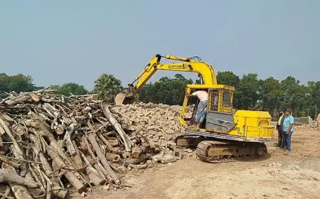 নড়াইলে অবৈধ ৩ টি ইটভাটা গুঁড়িয়ে দিল পরিবেশ অধিদপ্তর