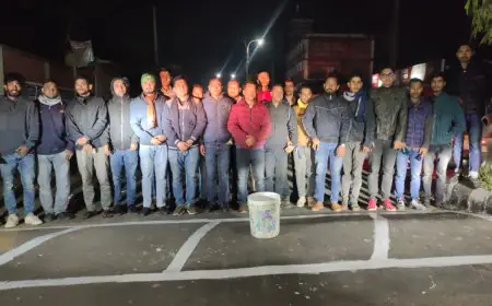 গভীর রাতে রাস্তা সৌন্দর্যের কাজে বরগুনা ছাত্রদল