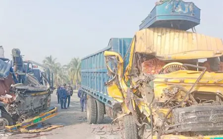 নড়াইলে ট্রাক-পিকআপ মুখোমুখি সংঘর্ষ: প্রাণ হারালেন চালক, আহত ৪
