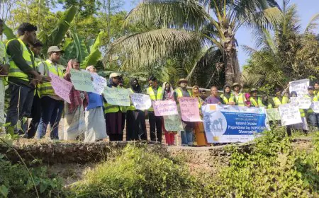বরগুনায় আন্তর্জাতিক দূর্যোগ প্রস্তুতি দিবস পালিত