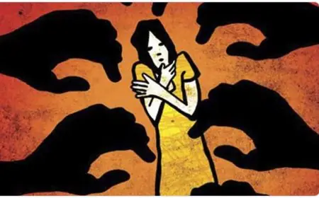 গৃহবধূকে সংঘবদ্ধ ধর্ষণের অভিযোগ