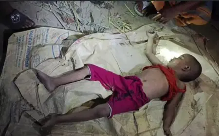 নড়াইলে শিশুর মরদেহ উদ্ধার, দাদি আটক