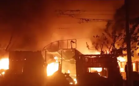 গ্রিন সিটি মার্কেটে ভয়াবহ অগ্নিকাণ্ড - নারায়ণগঞ্জ