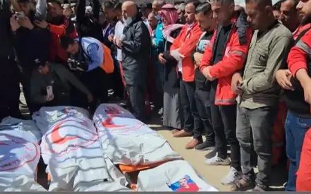 রেড ক্রিসেন্টের ৮ সদস্যসহ ১৫ সহায়তাকর্মীকে হত্যা, বিশ্ব স্বাস্থ্য সংস্থার নিন্দা