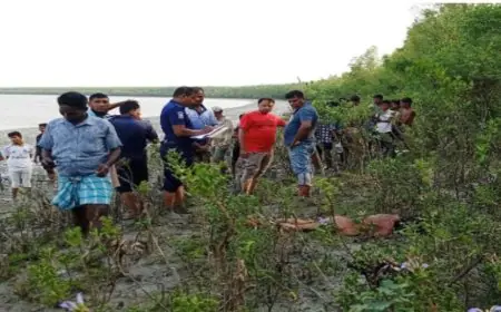 বরগুনার তালতলীতে নদীর তীরে অজ্ঞাত নারীর লা*শ