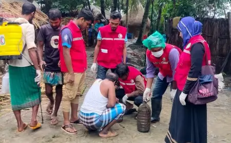 বরগুনায় ডেঙ্গু পরিস্থিতি মোকাবিলায় বাংলাদেশ রেড ক্রিসেন্টে সোসাইটির সমন্বিত কার্যক্রম