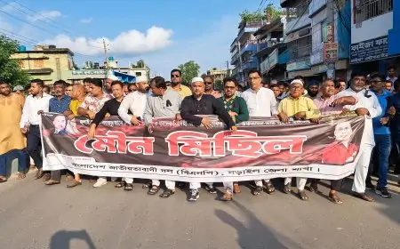 নড়াইলে জেলা বিএনপির  মৌন মিছিল ও সমাবেশ অনুষ্ঠিত